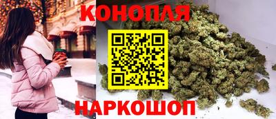 прущие крисы Будённовск