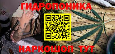 прущие крисы Будённовск