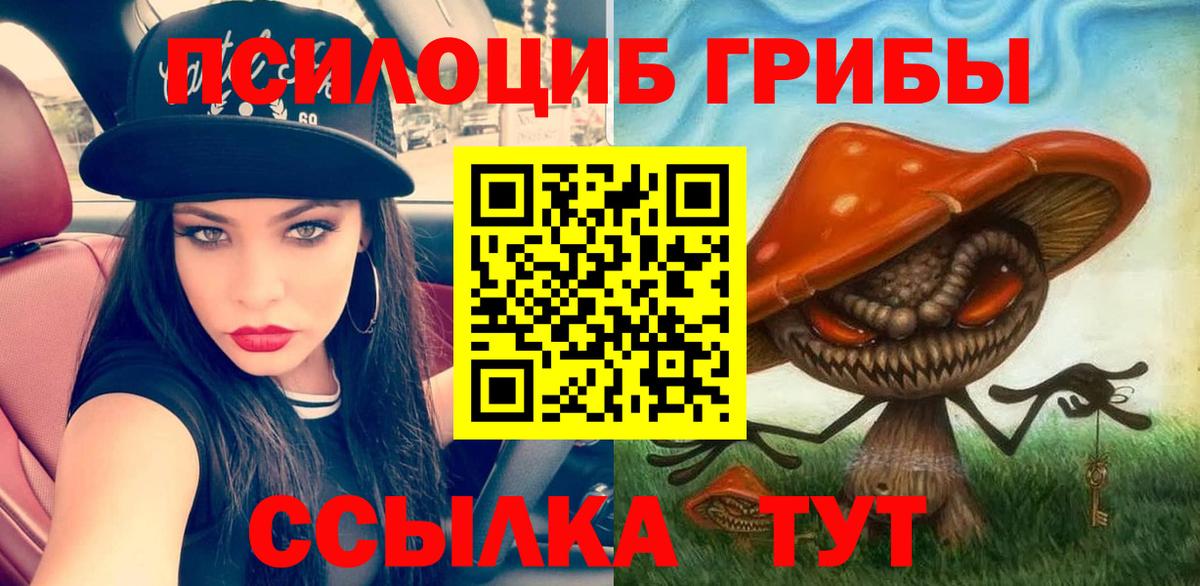 Псилоцибиновые грибы Psilocybine cubensis Ярославль